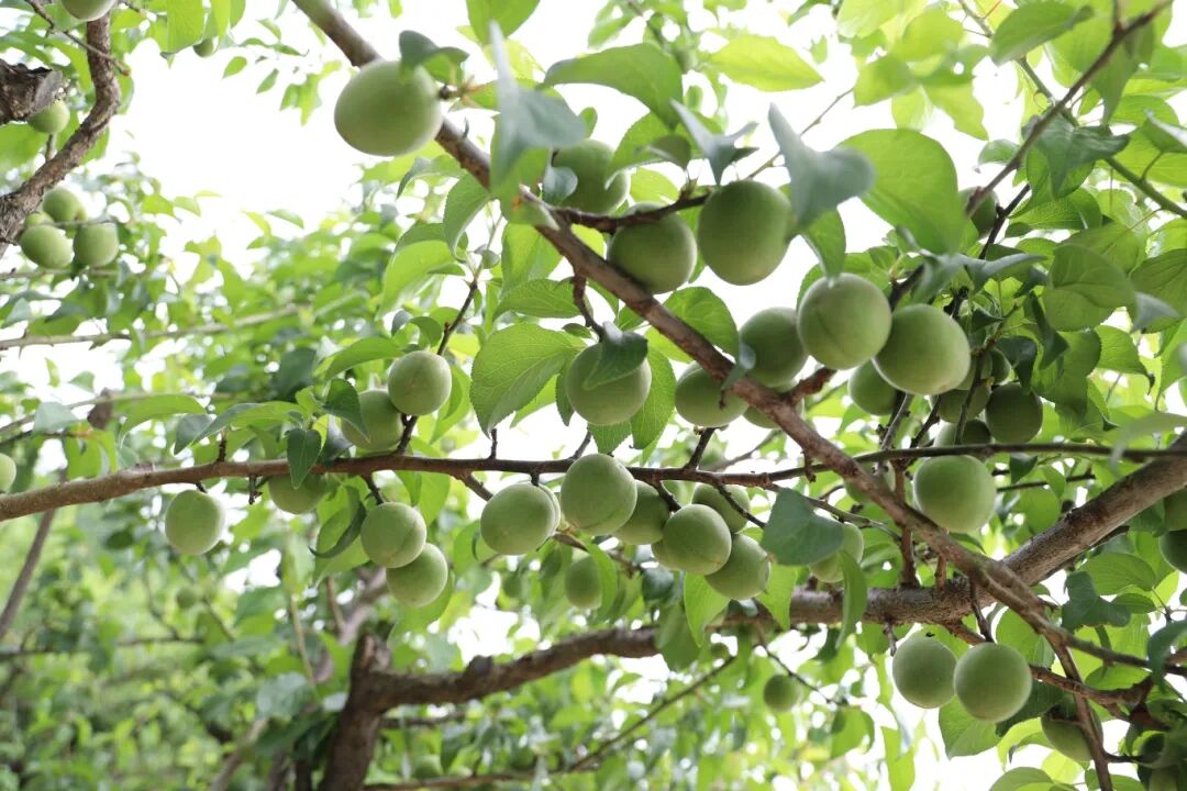 微信图片_2025-09-05_085939_040.jpg