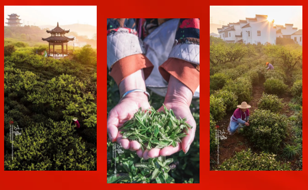 ScreenShot_2026-01-21_091605_169.png ScreenShot_2026-01-21_091605_169.png