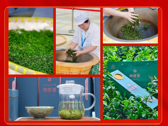 ScreenShot_2026-01-21_091640_905.png ScreenShot_2026-01-21_091640_905.png