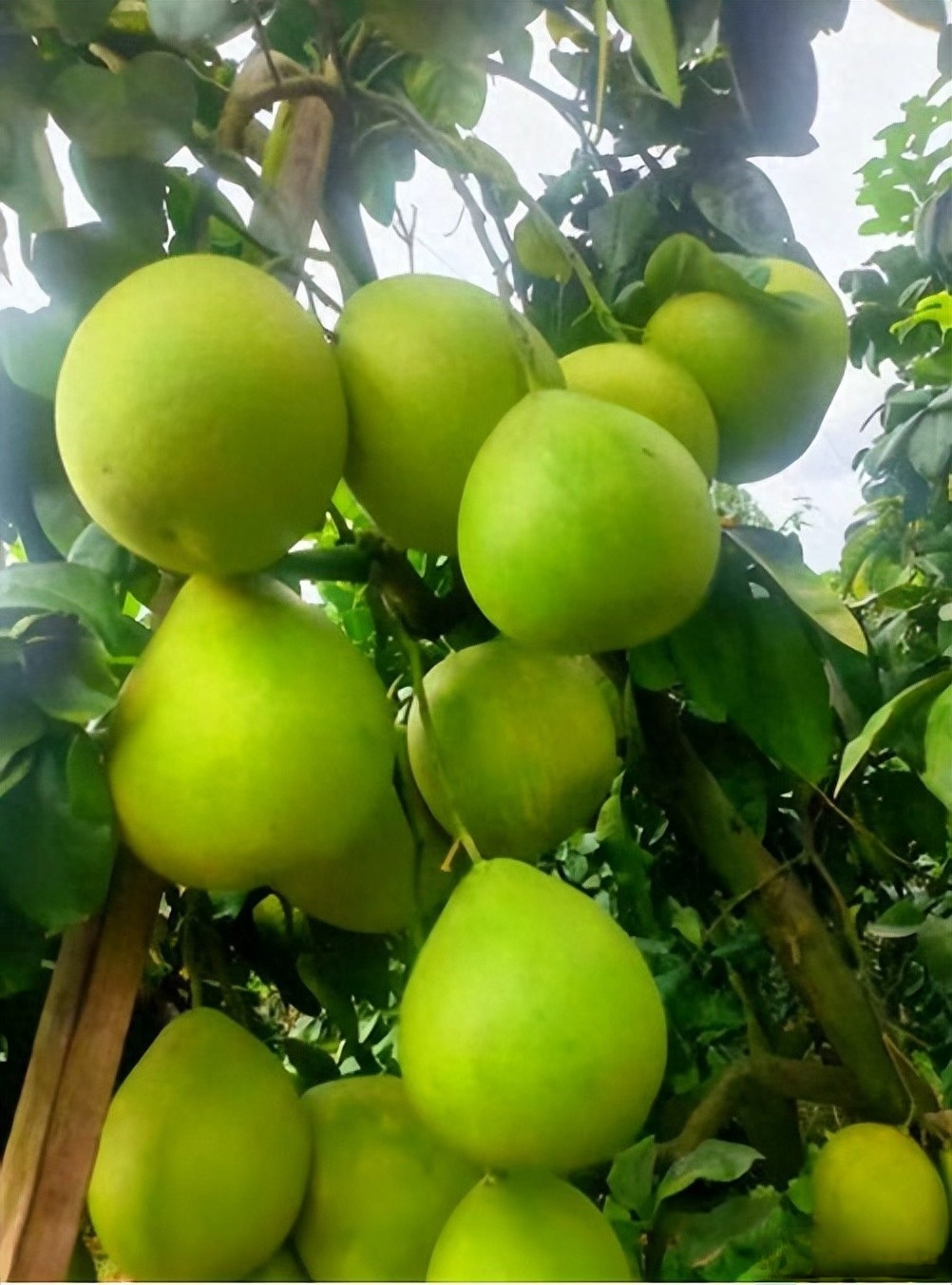 微信图片_20260130103614_1134_249.jpg 微信图片_20260130103614_1134_249.jpg