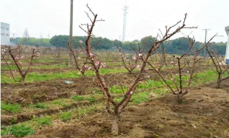 微信图片_20260130103615_1136_249.jpg 微信图片_20260130103615_1136_249.jpg