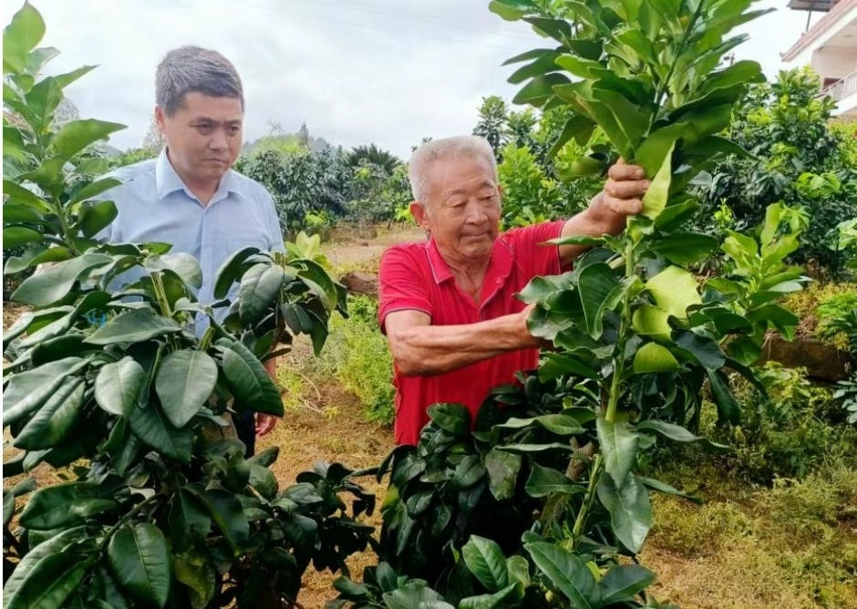 微信图片_20260130103616_1137_249.jpg 微信图片_20260130103616_1137_249.jpg